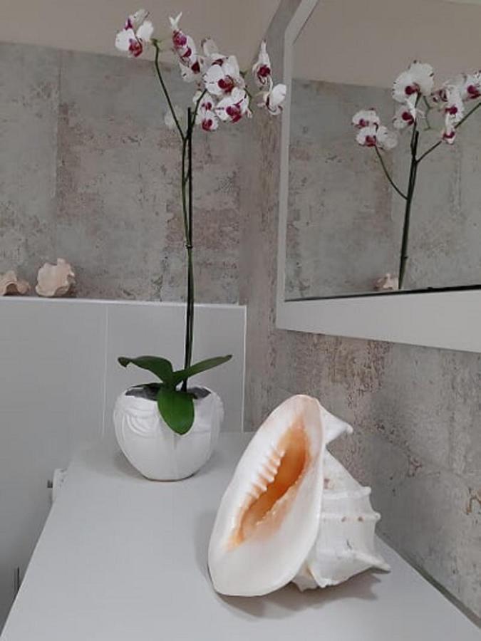 Beachfront Loft In 푸에르토 데 모간 외부 사진
